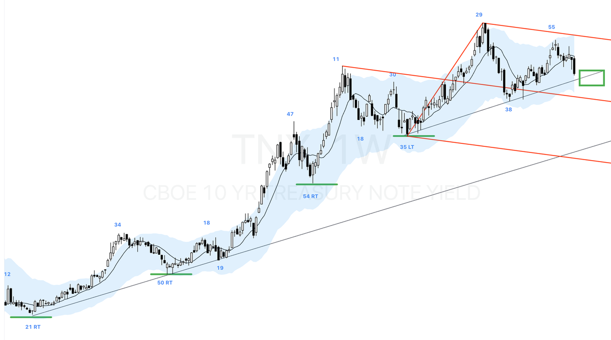 Weekly Cycle Report - Week 25, 2024