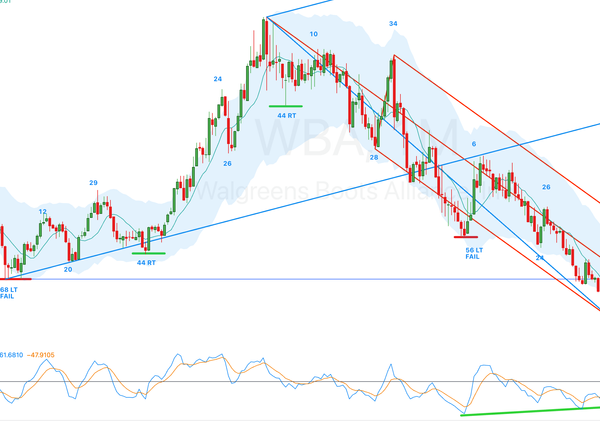 Cycle Bottom Report